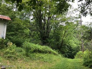 283 Providence Road Cumberland Gap TN 37724