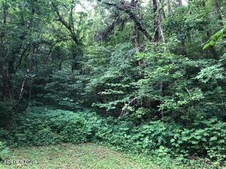 283 Providence Road Cumberland Gap TN 37724