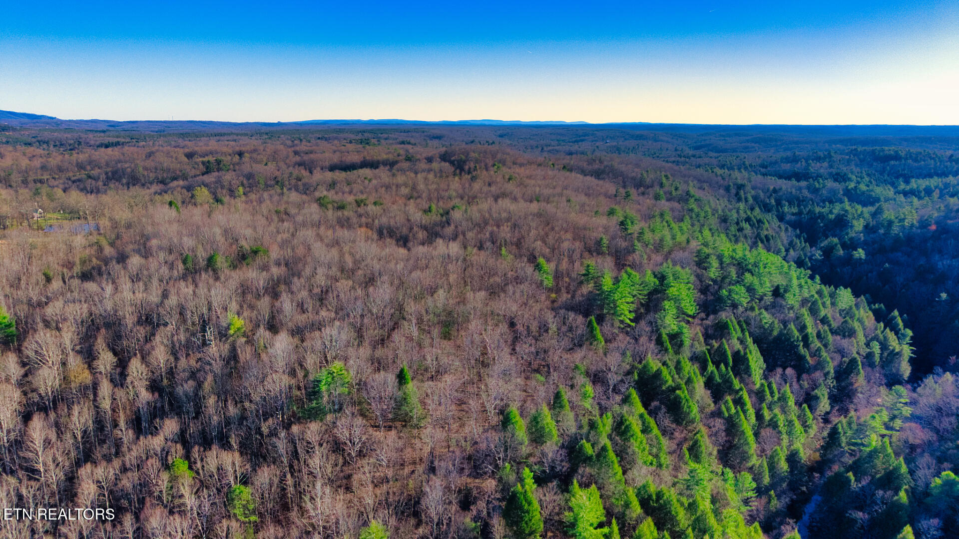 Tract 4 Ervin Brown Road Sunbright TN 37872