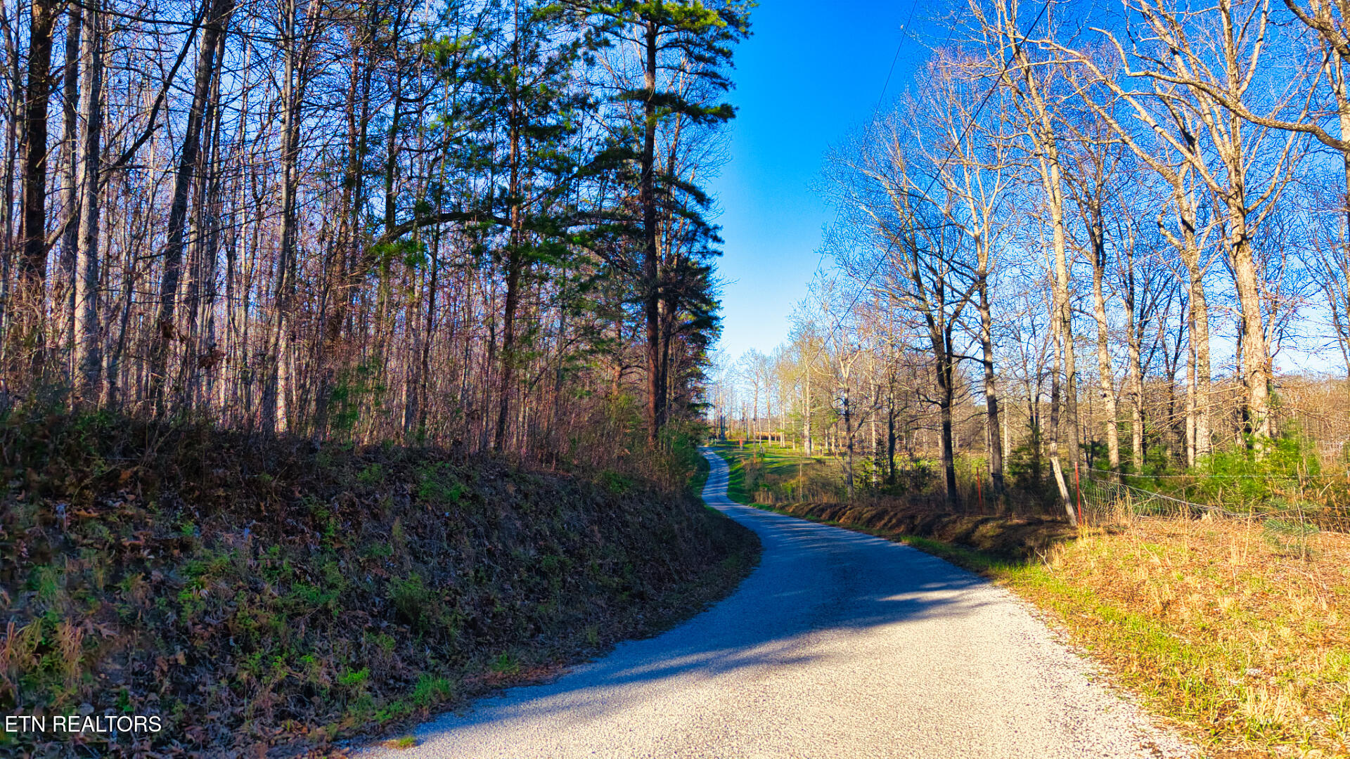 Tract 4 Ervin Brown Road Sunbright TN 37872