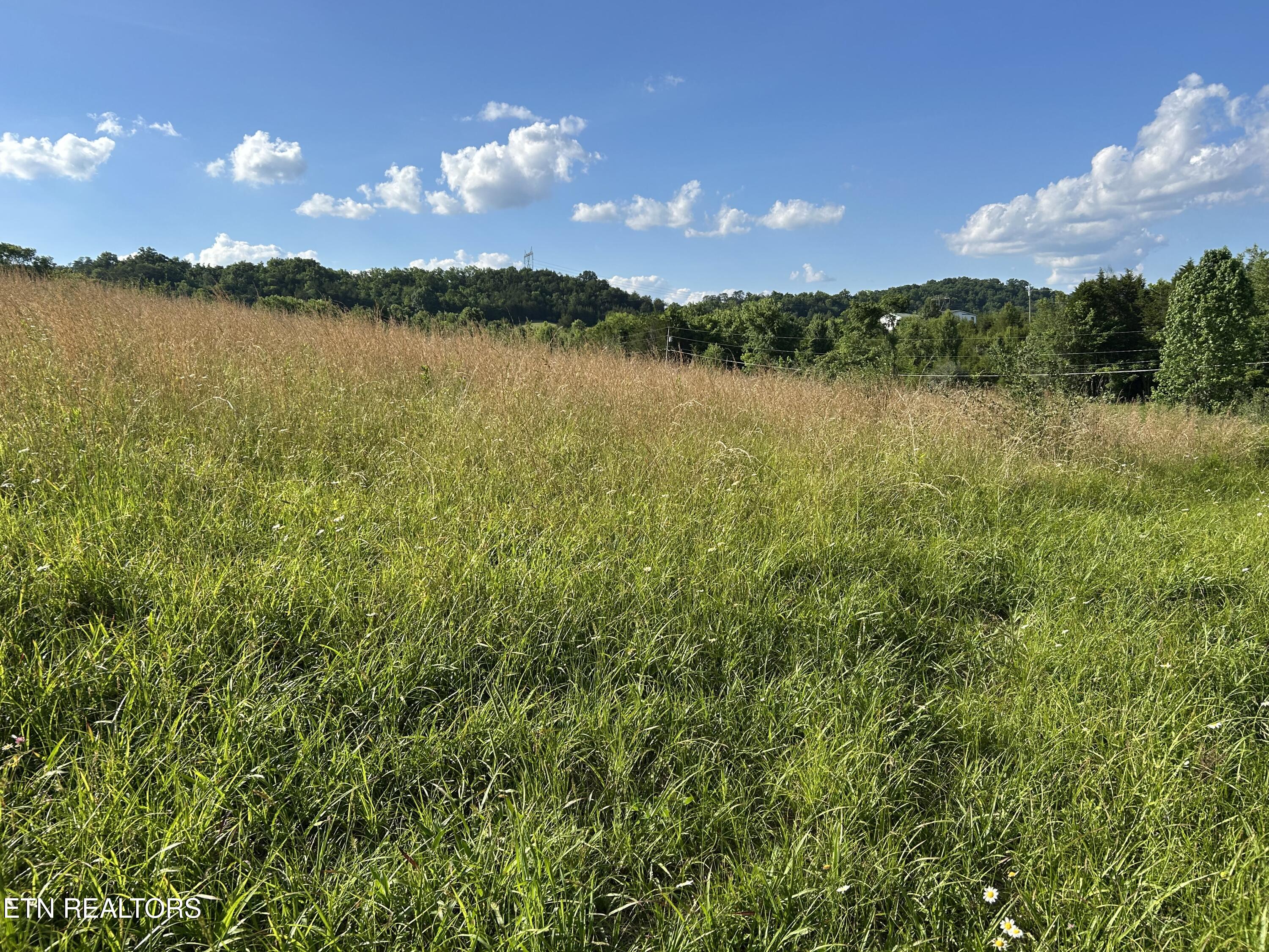 0 Old Tennessee 70 Road Rogersville TN 37857
