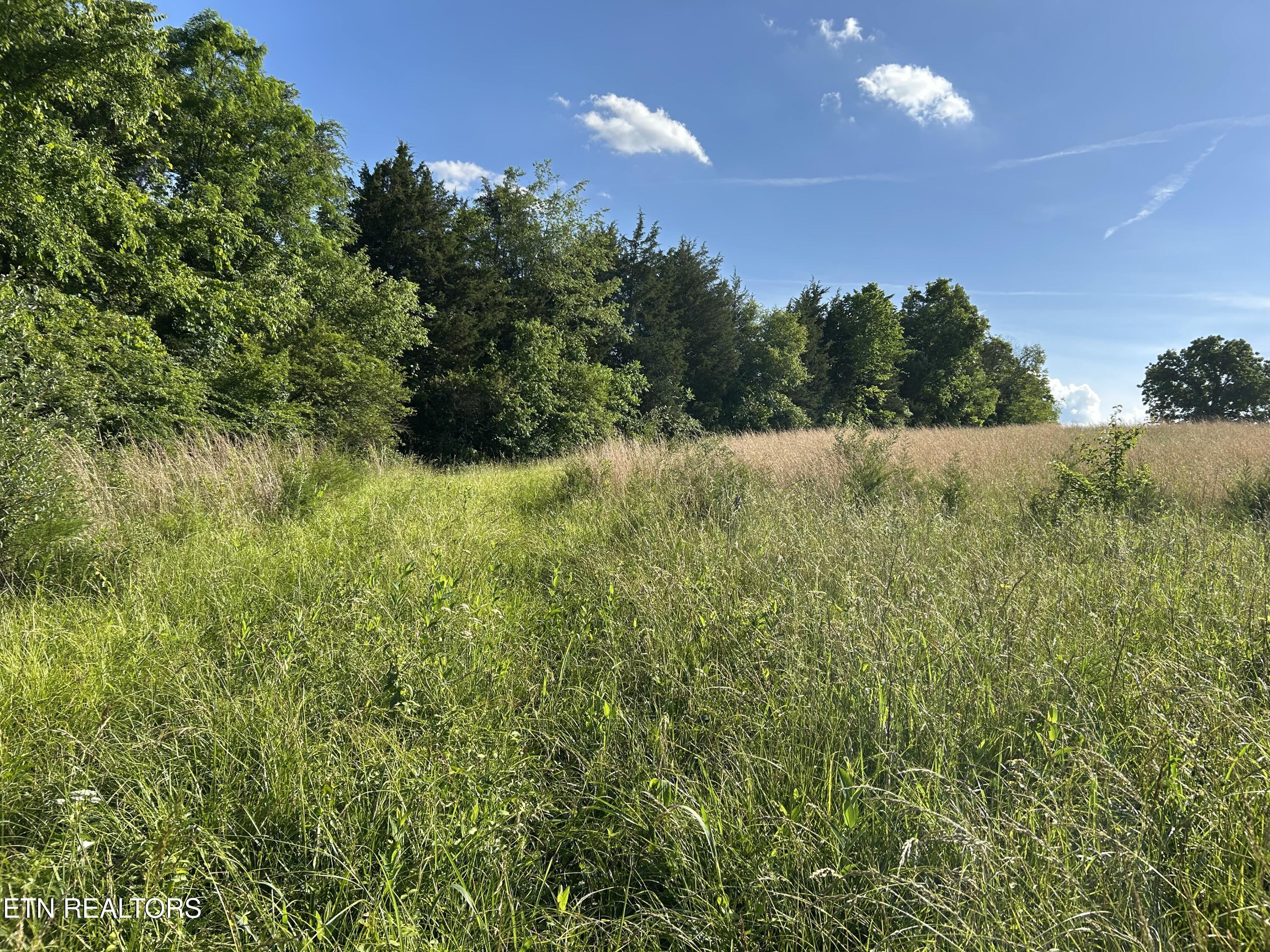 0 Old Tennessee 70 Road Rogersville TN 37857