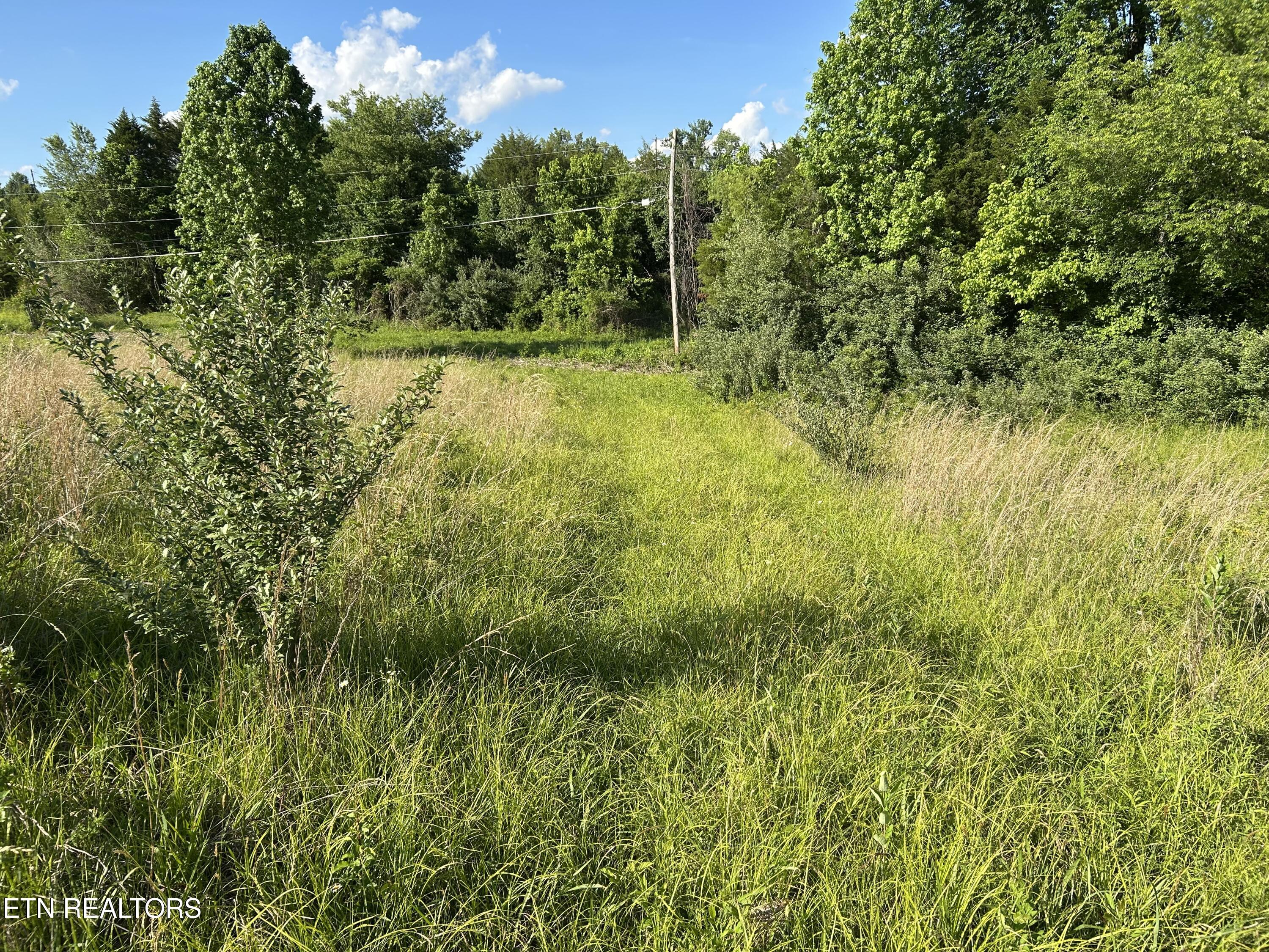 0 Old Tennessee 70 Road Rogersville TN 37857