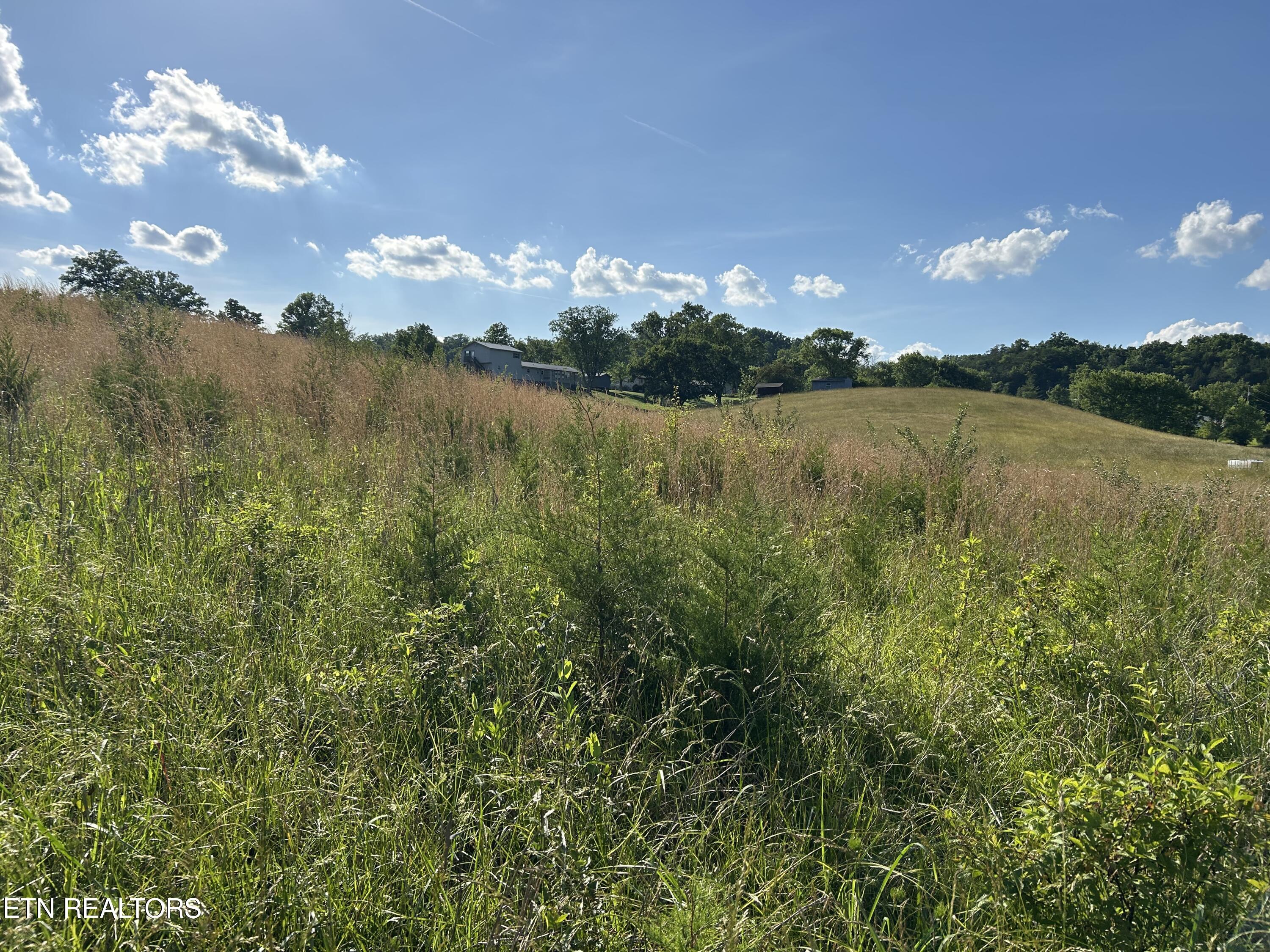 0 Old Tennessee 70 Road Rogersville TN 37857