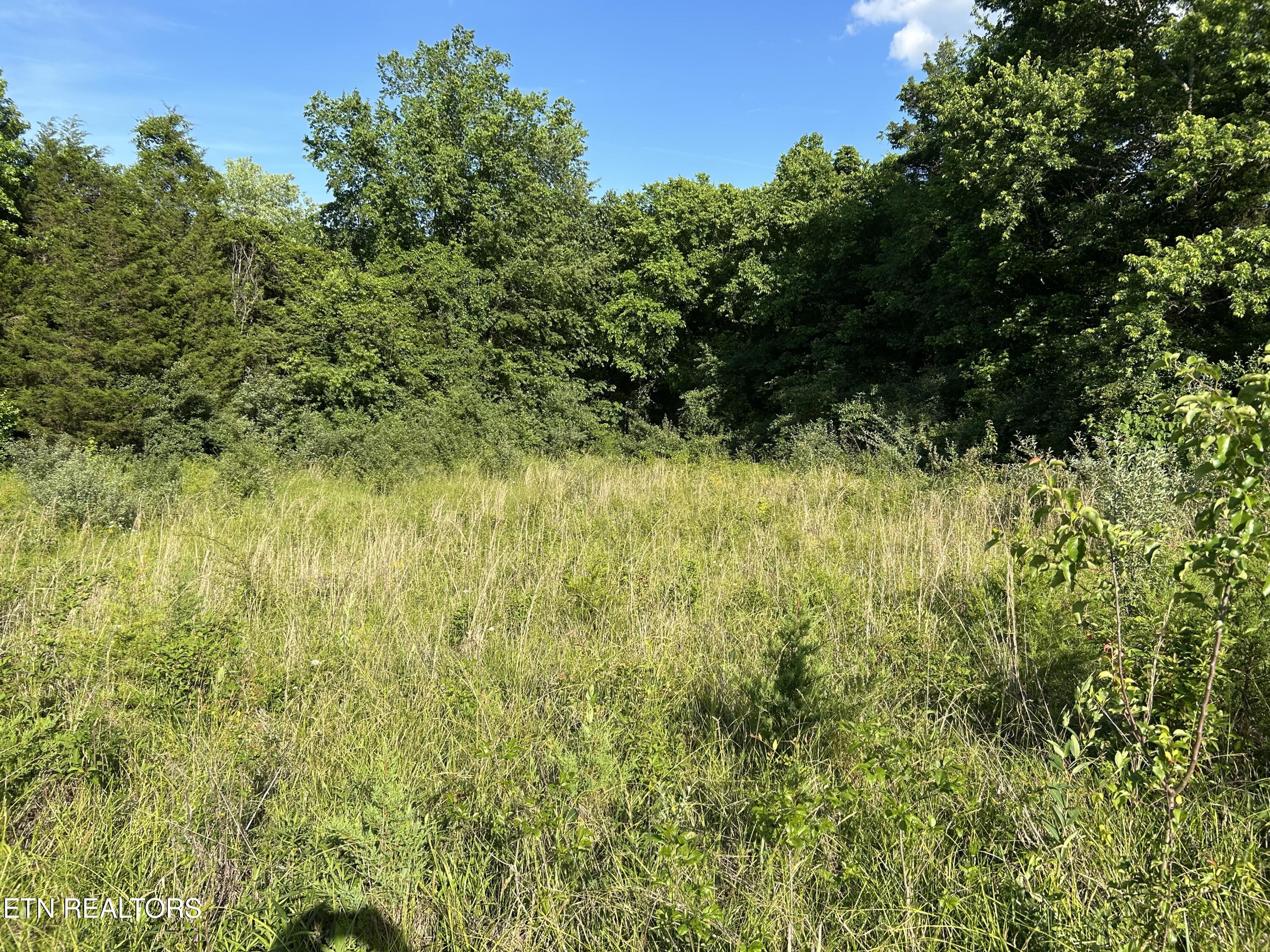 0 Old Tennessee 70 Road Rogersville TN 37857