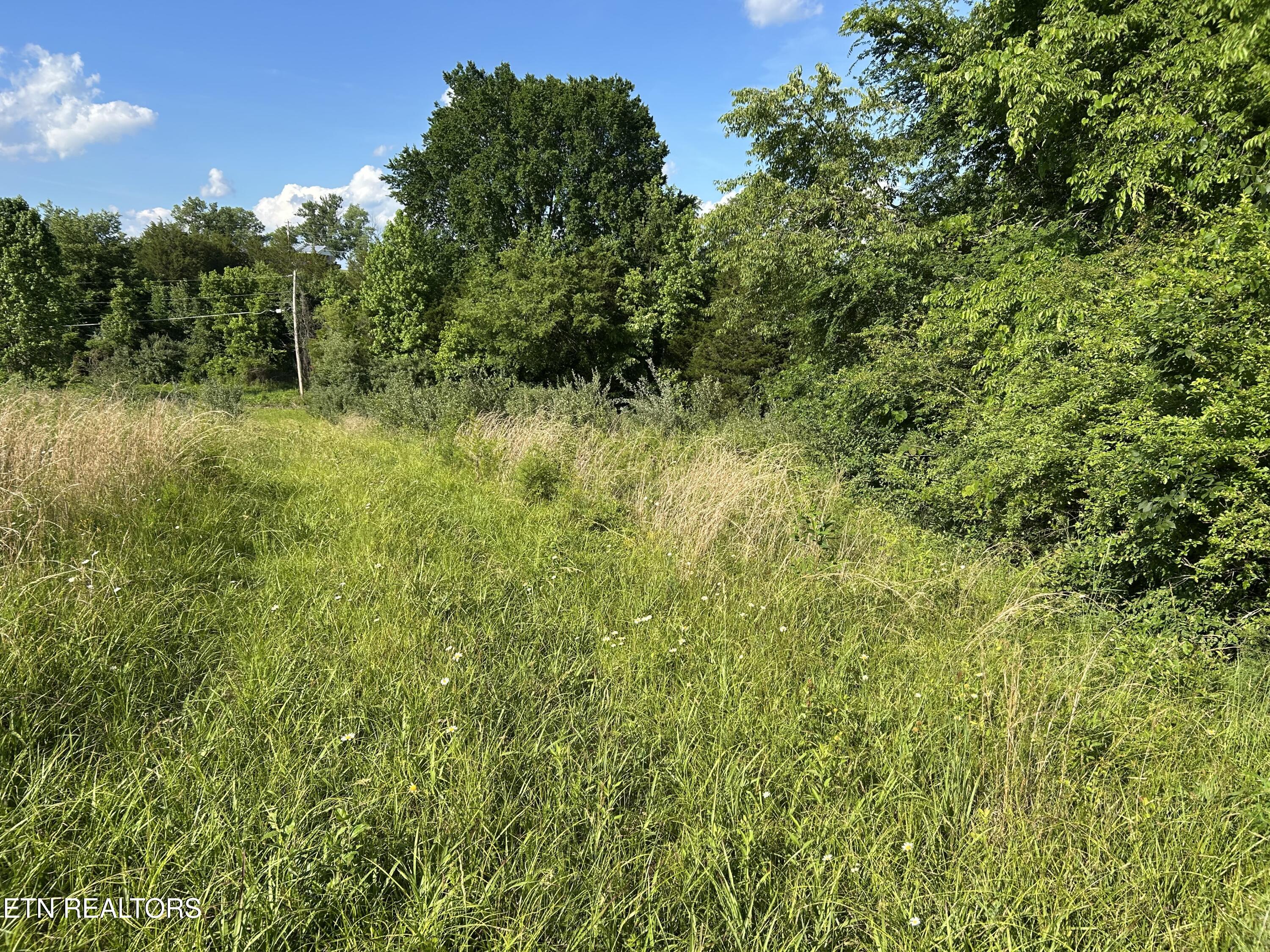 0 Old Tennessee 70 Road Rogersville TN 37857
