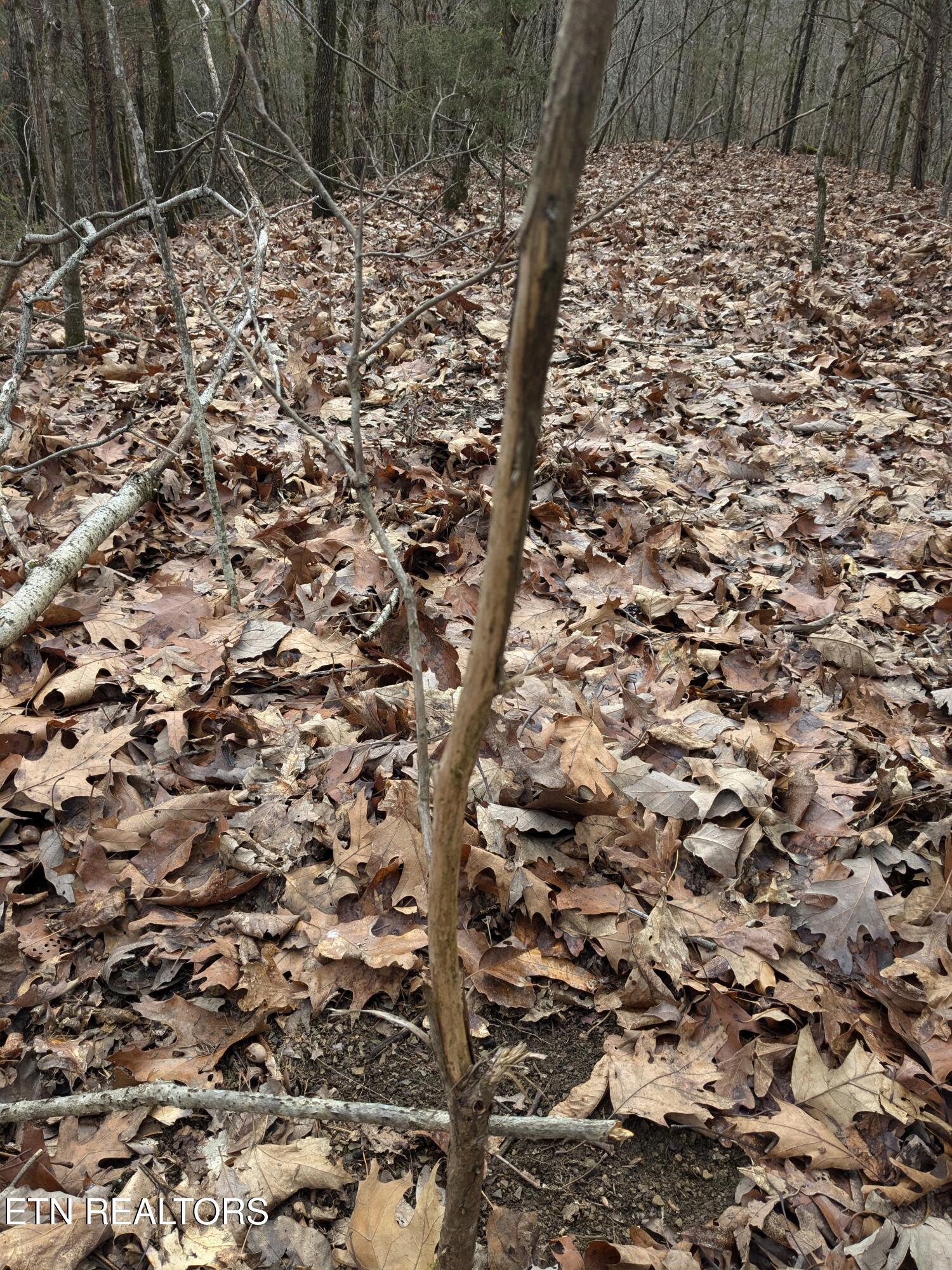 0 French Mill Road Dandridge TN 37725