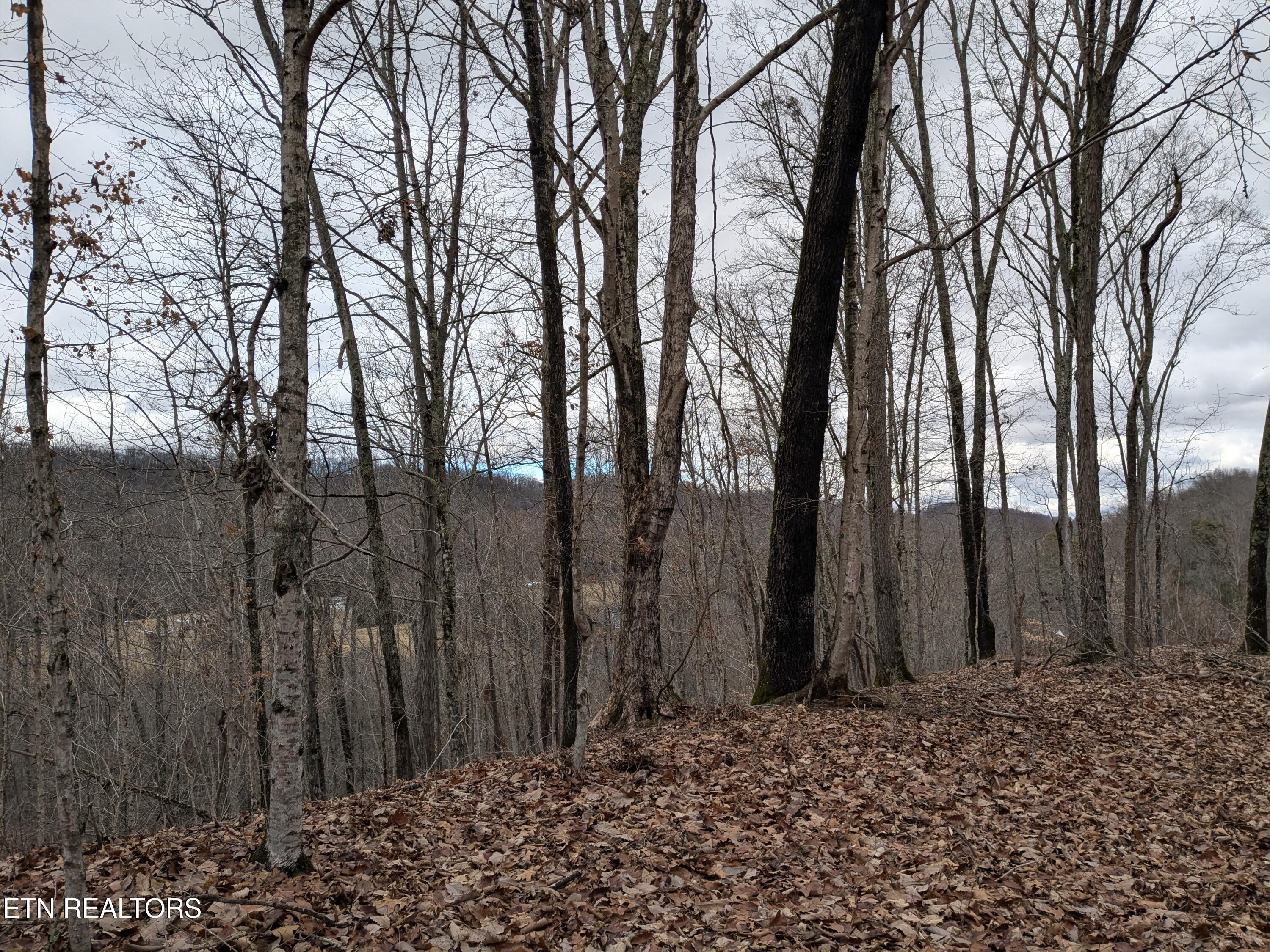 0 French Mill Road Dandridge TN 37725