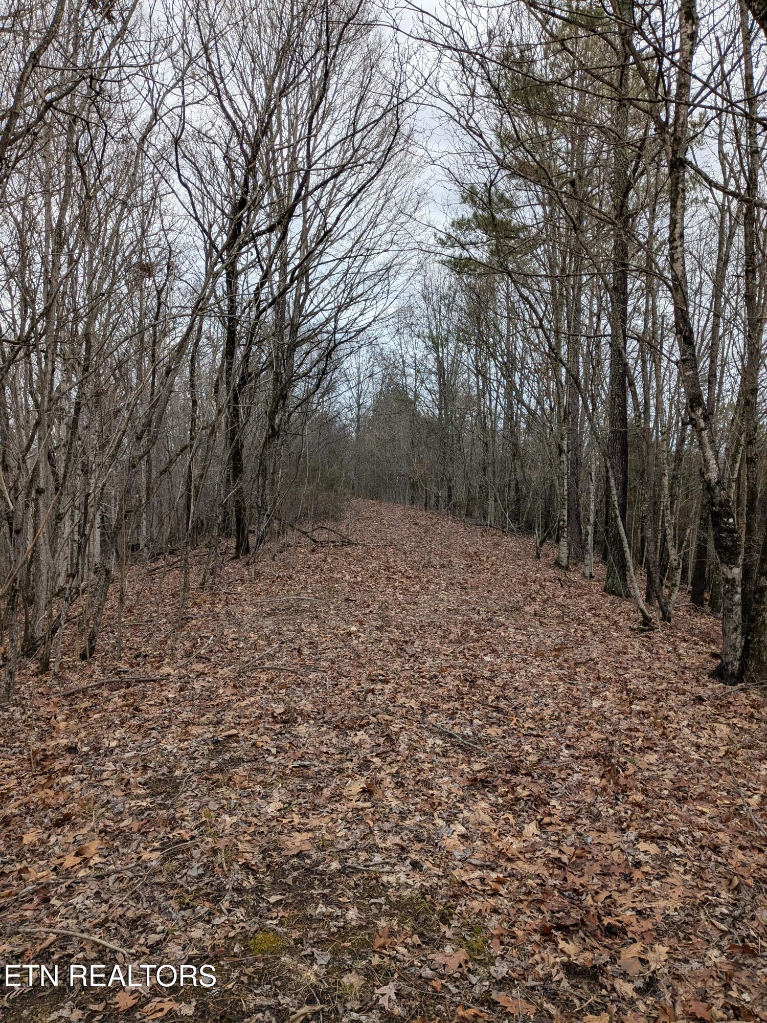 0 French Mill Road Dandridge TN 37725