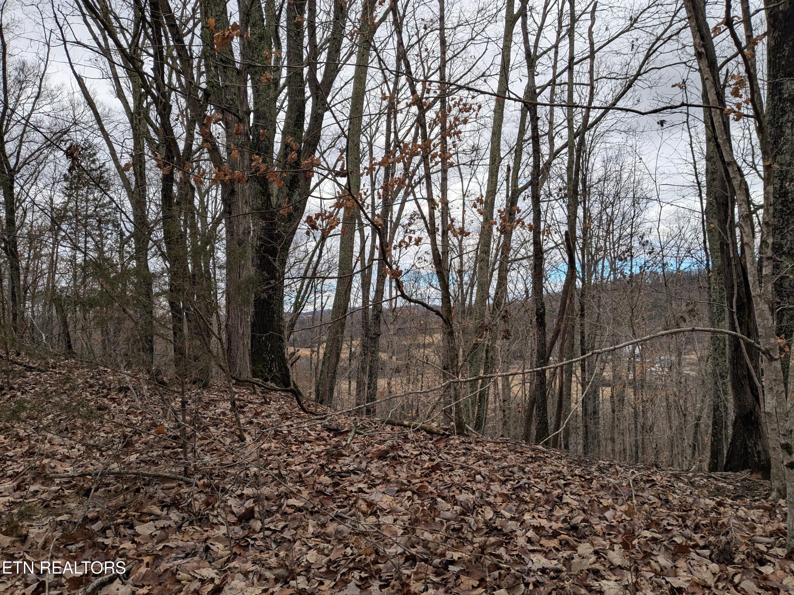 0 French Mill Road Dandridge TN 37725