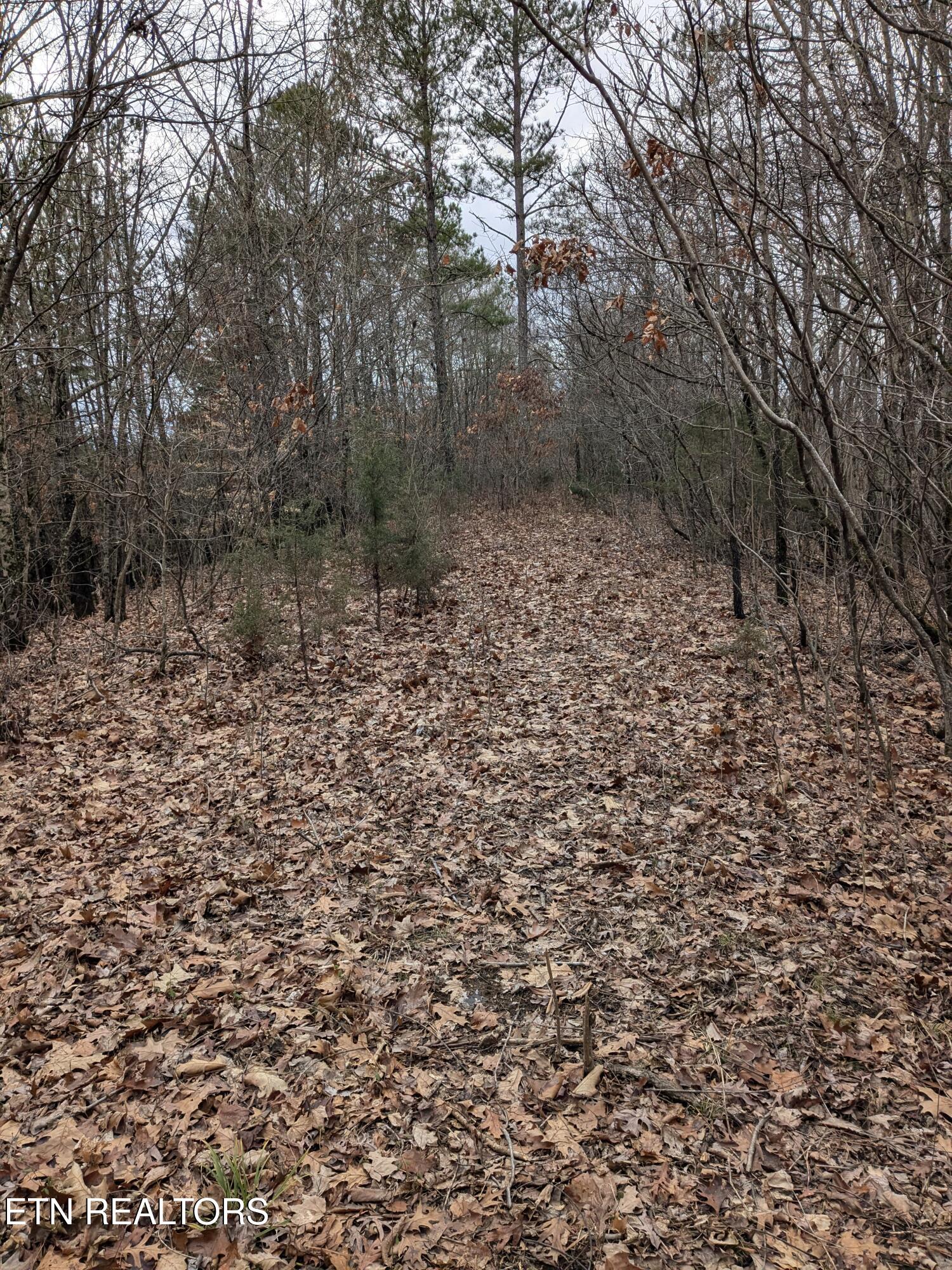 0 French Mill Road Dandridge TN 37725