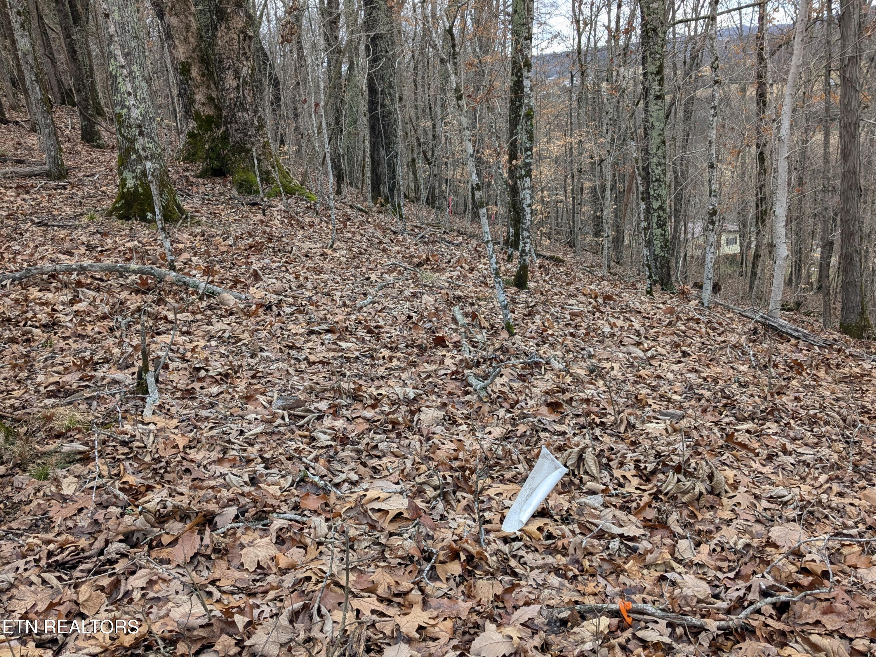 0 French Mill Road Dandridge TN 37725