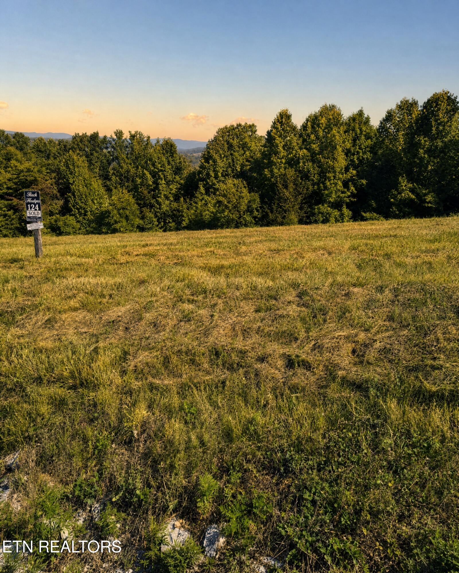 Tanzanite Trail New Tazewell TN 37825