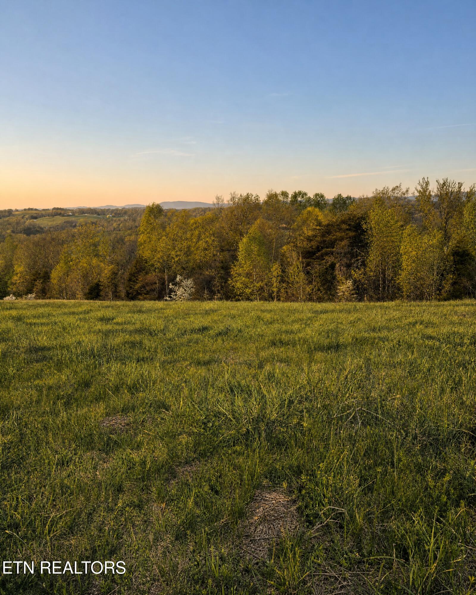 Tanzanite Trail New Tazewell TN 37825