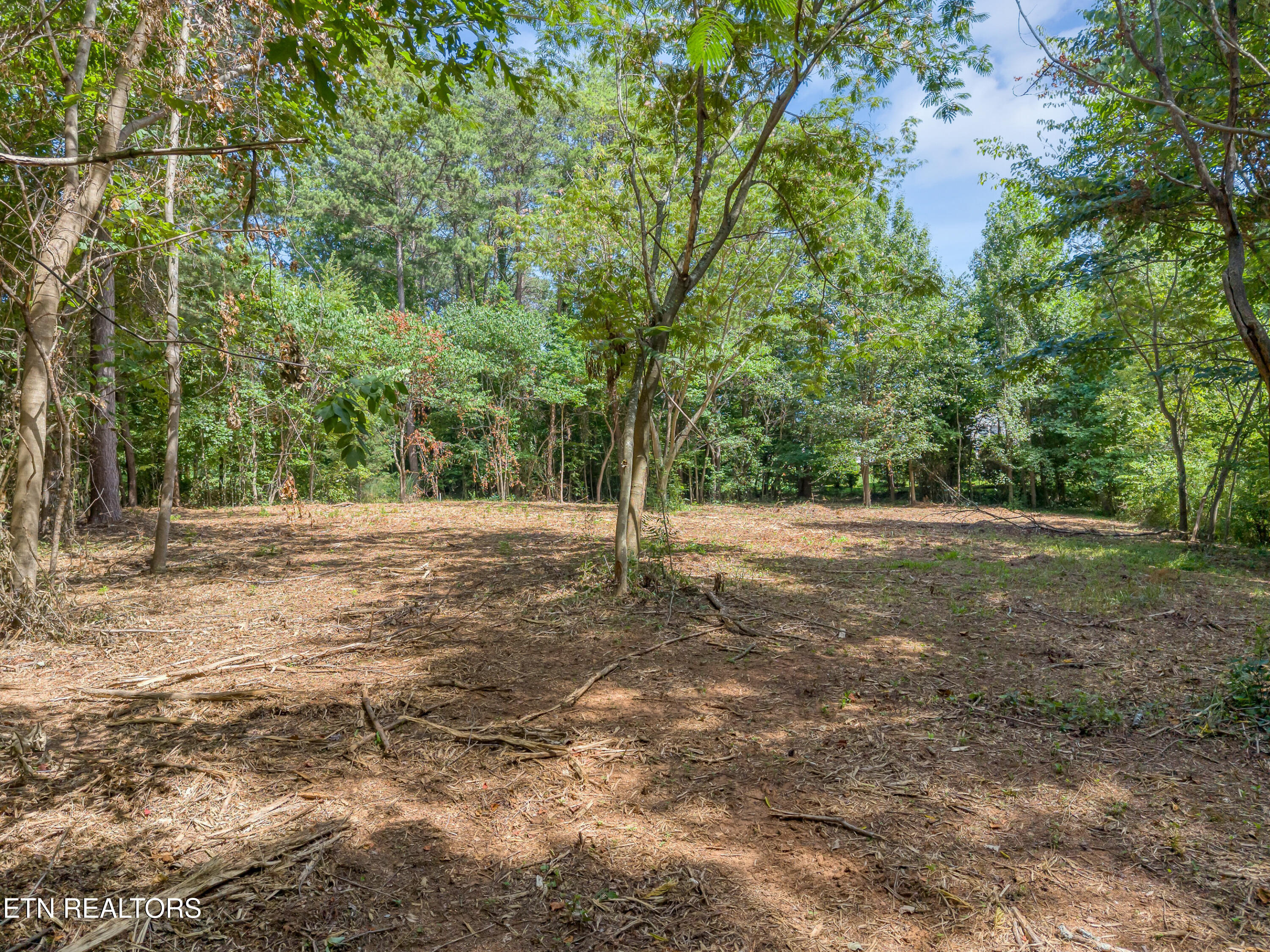 Kennesaw Court Maryville TN 37801