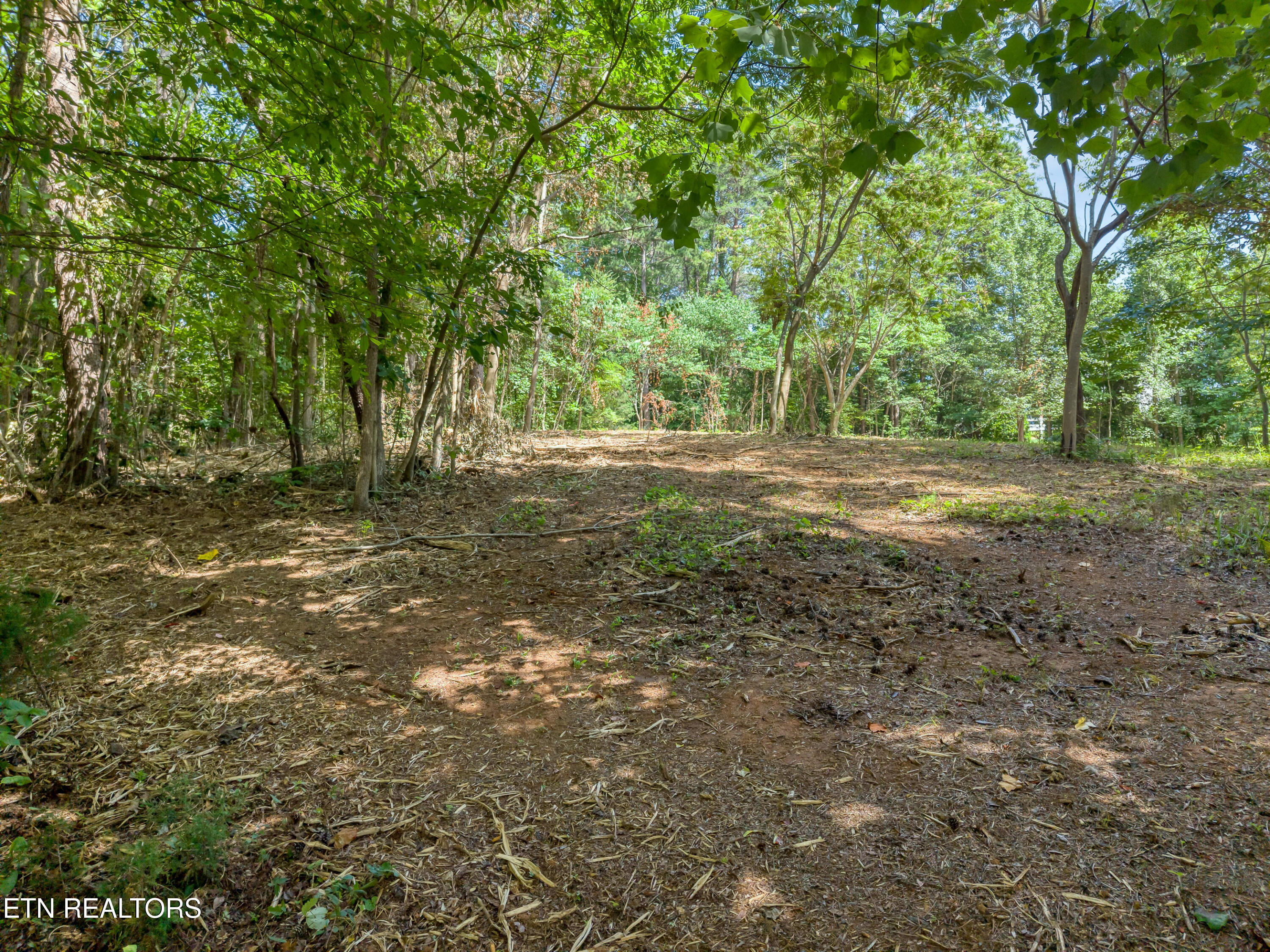 Kennesaw Court Maryville TN 37801