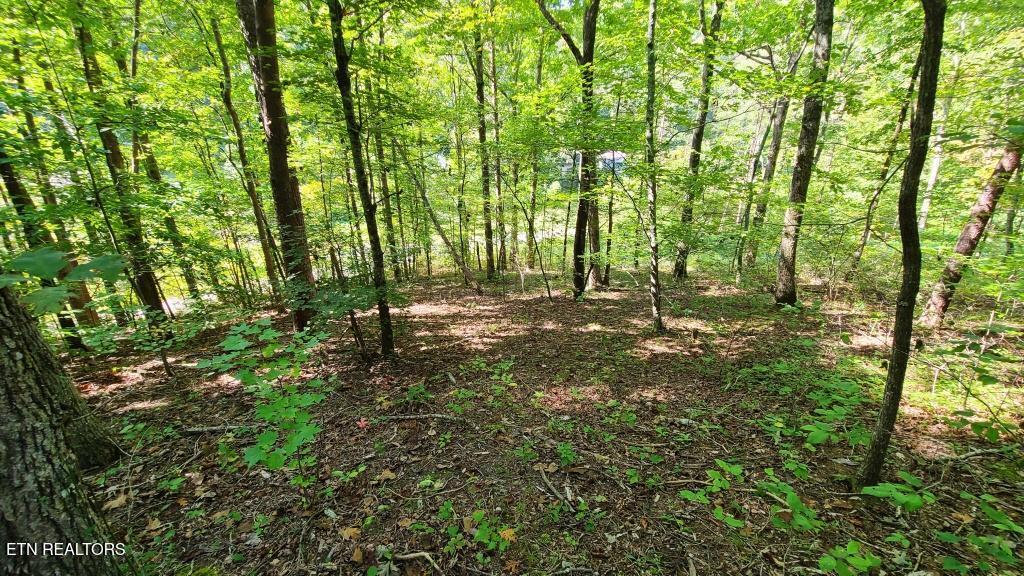 Mel Hall Road Maryville TN 37803