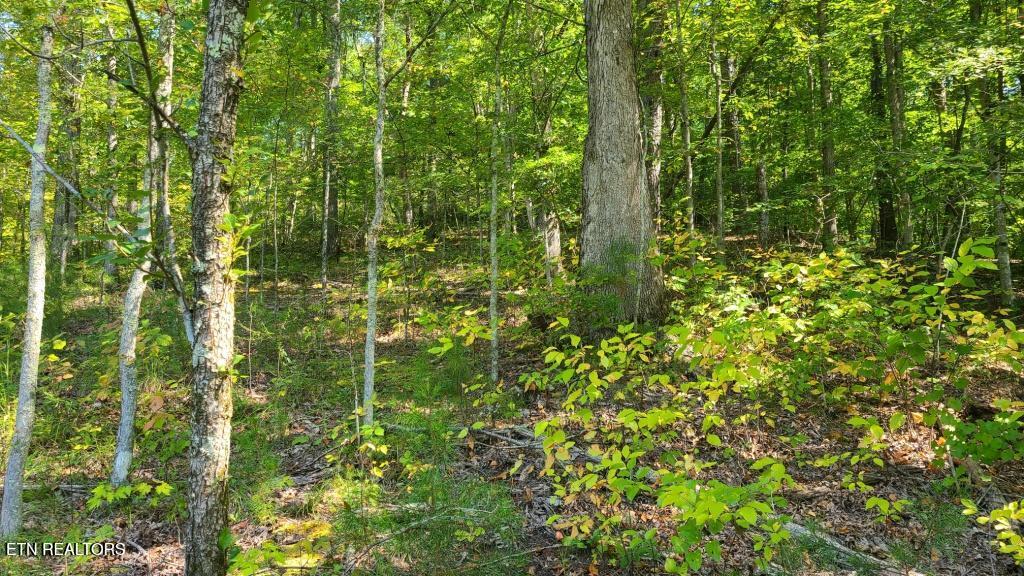 Mel Hall Road Maryville TN 37803
