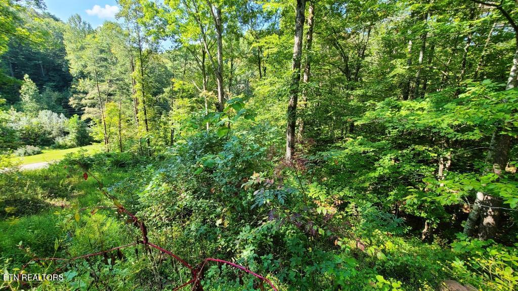 Mel Hall Road Maryville TN 37803