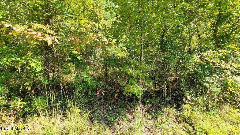 Mel Hall Road Maryville TN 37803