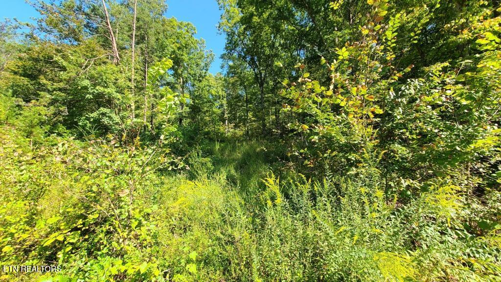 Mel Hall Road Maryville TN 37803