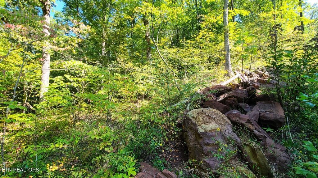 Mel Hall Road Maryville TN 37803