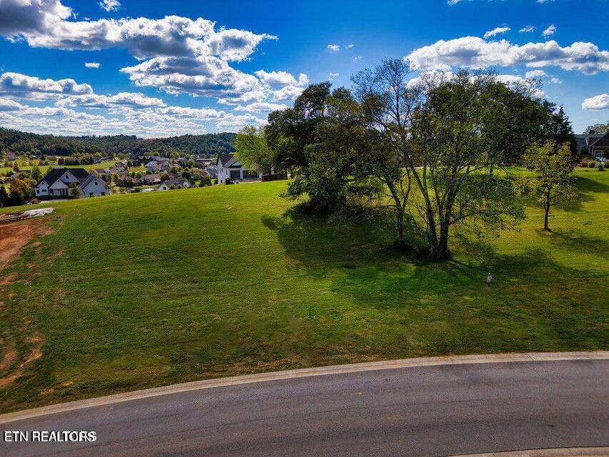 2912 Persimmon Ridge Loudon TN 37774