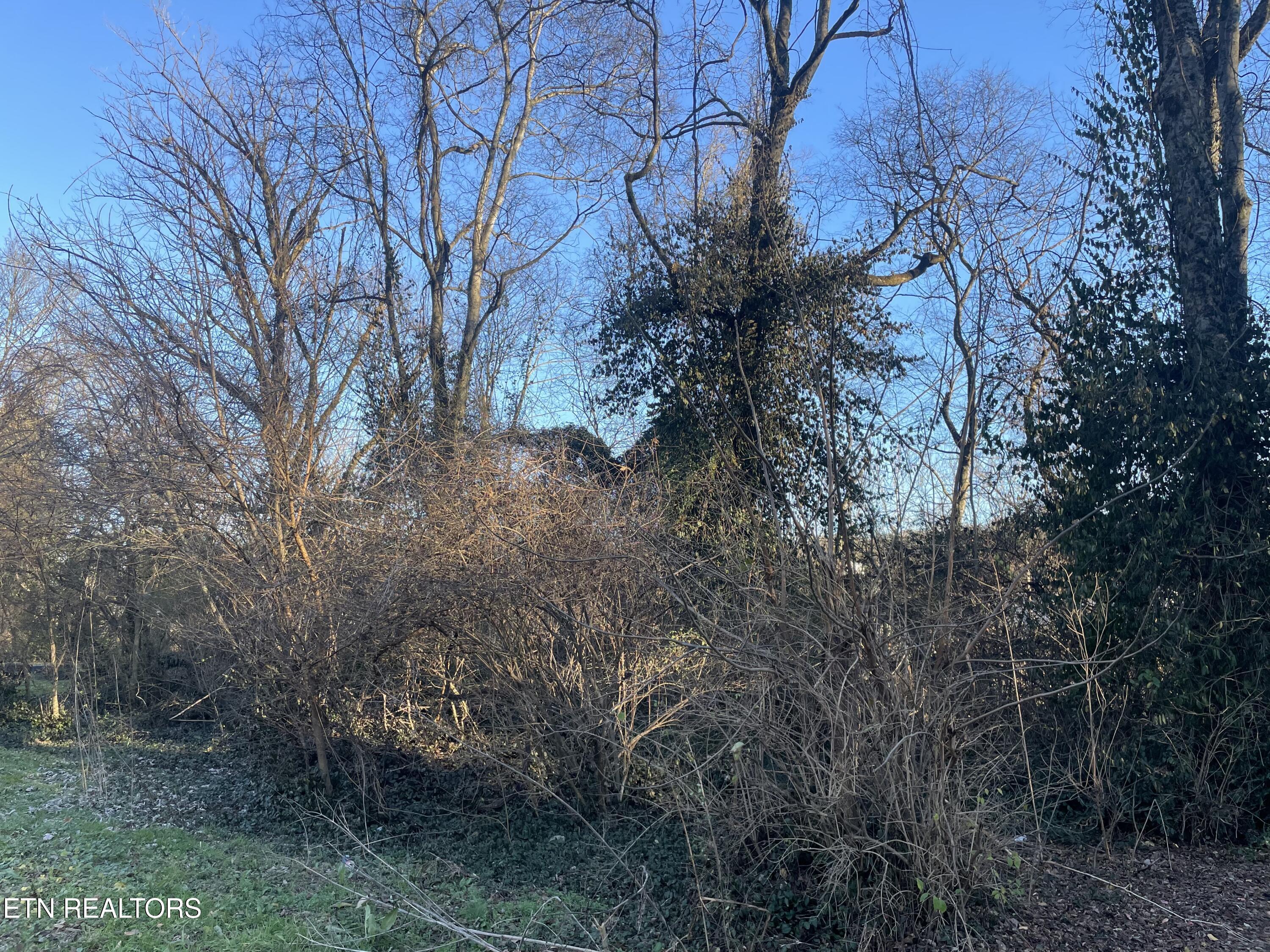 1004 Leconte Road Knoxville TN 37914