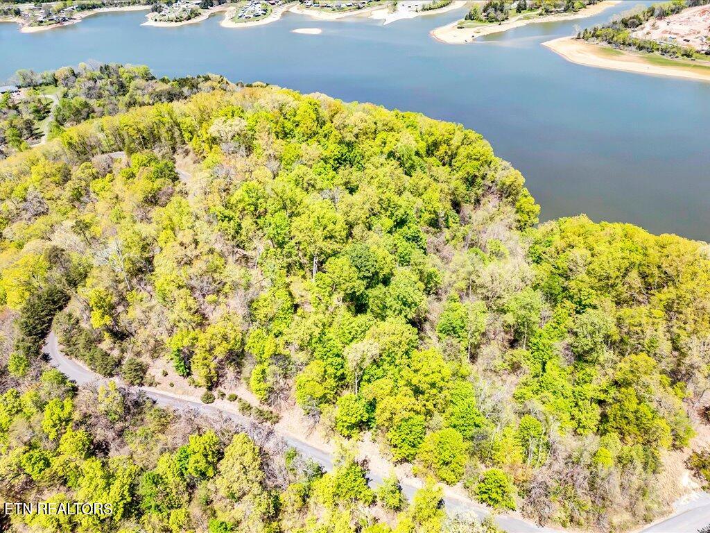 Lot 49 Hickory Knoll Circle Whitesburg TN 37891