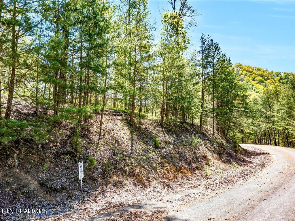 Lot 49 Hickory Knoll Circle Whitesburg TN 37891