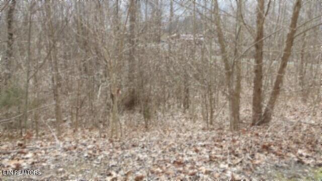 5.51AC Beaver Lane Gainesboro TN 38562