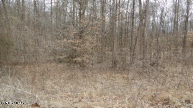 5.51AC Beaver Lane Gainesboro TN 38562