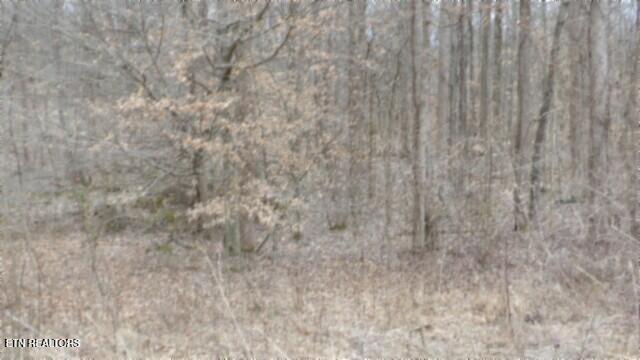 5.51AC Beaver Lane Gainesboro TN 38562