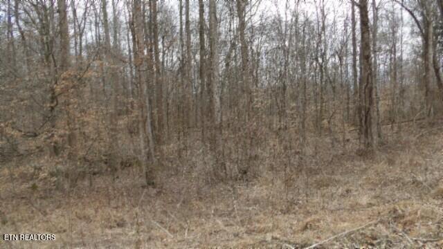 5.51AC Beaver Lane Gainesboro TN 38562