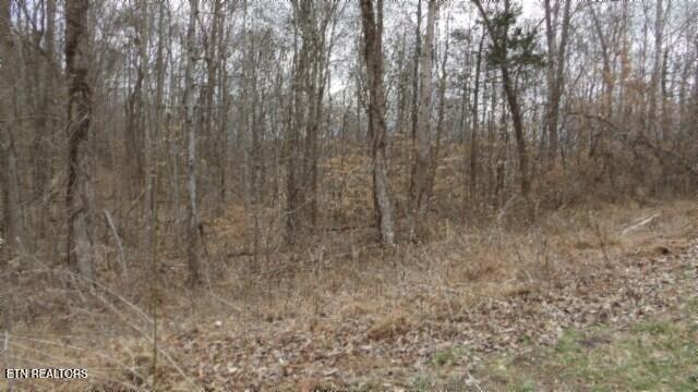 5.51AC Beaver Lane Gainesboro TN 38562