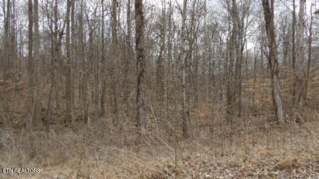 5.51AC Beaver Lane Gainesboro TN 38562