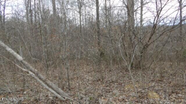 5.51AC Beaver Lane Gainesboro TN 38562