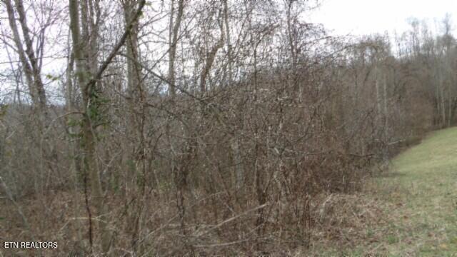 5.51AC Beaver Lane Gainesboro TN 38562