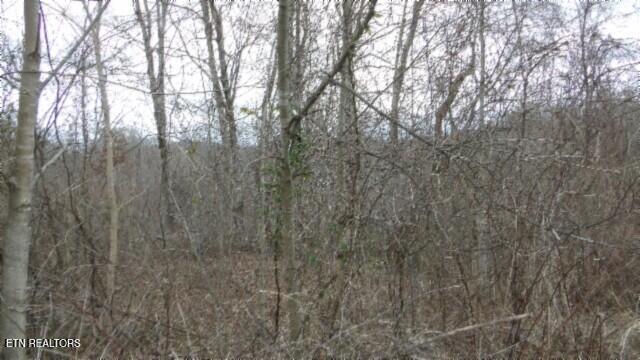 5.51AC Beaver Lane Gainesboro TN 38562