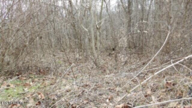 5.51AC Beaver Lane Gainesboro TN 38562