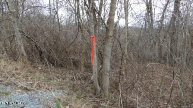 5.51AC Beaver Lane Gainesboro TN 38562