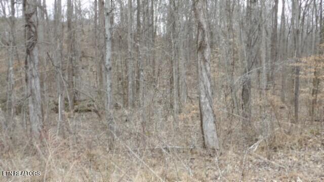 5.51AC Beaver Lane Gainesboro TN 38562