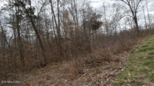 5.51AC Beaver Lane Gainesboro TN 38562