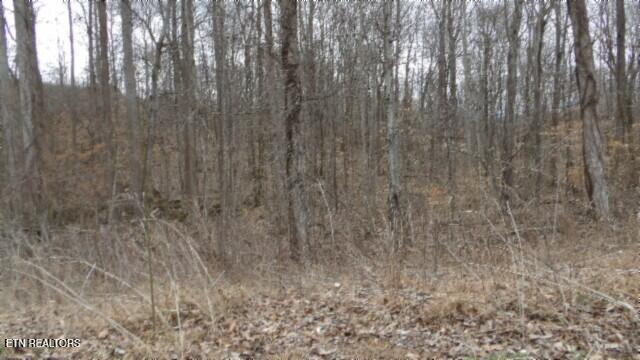 5.51AC Beaver Lane Gainesboro TN 38562