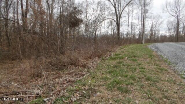5.51AC Beaver Lane Gainesboro TN 38562
