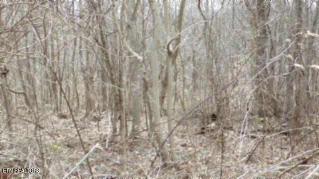 5.51AC Beaver Lane Gainesboro TN 38562