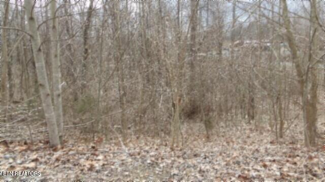 5.51AC Beaver Lane Gainesboro TN 38562