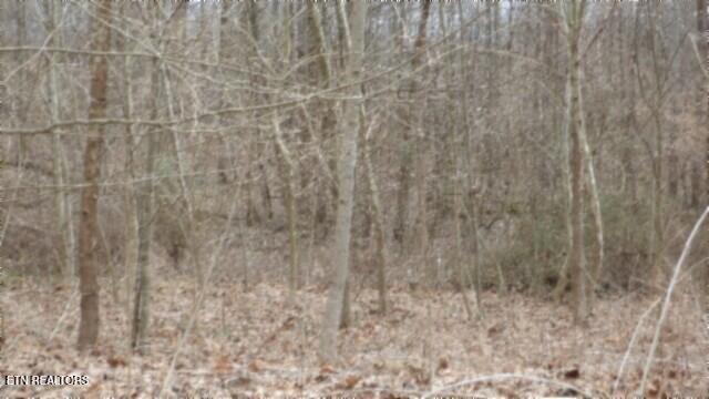 5.51AC Beaver Lane Gainesboro TN 38562