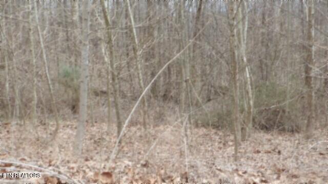 5.51AC Beaver Lane Gainesboro TN 38562
