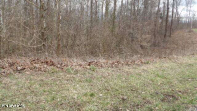 5.51AC Beaver Lane Gainesboro TN 38562
